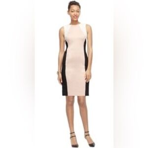 Ann Taylor Women’s Cream Navy & Rose Taupe Sleeveless Midi Sheath‎ Dress Size 8